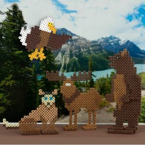 alaskan-animals